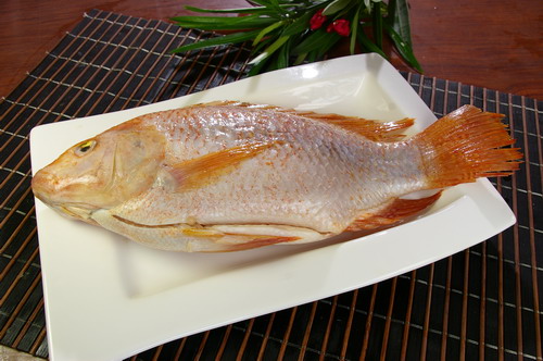 Gutted & Scaled Red Tilapia