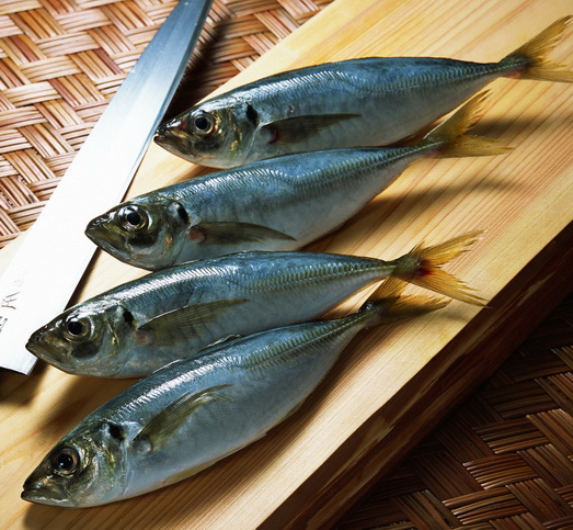 Horse Mackerel